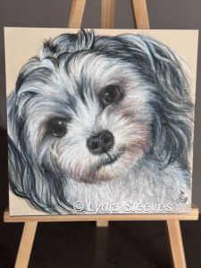 Critter Squares - Cutie Pie Pup CP e-Packet